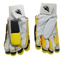 SHAHEEN CRICKET BATTING GLOVES FOR YOUTH