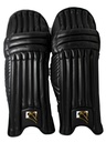 SPORT SHAHEEN CRICKET - BATTING PADS (RIGHTY)