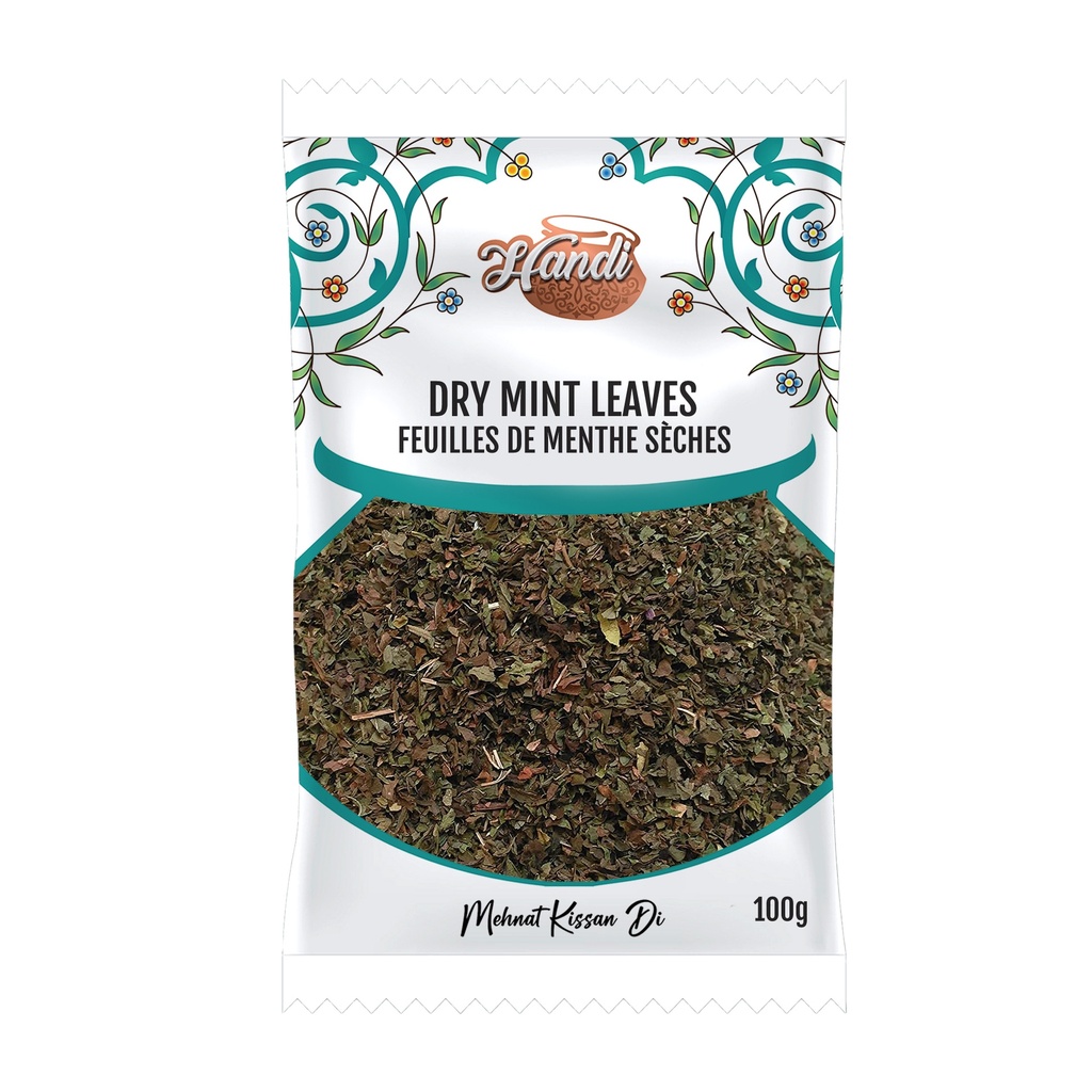 HANDI PS MINT LEAVES DRY 100GM