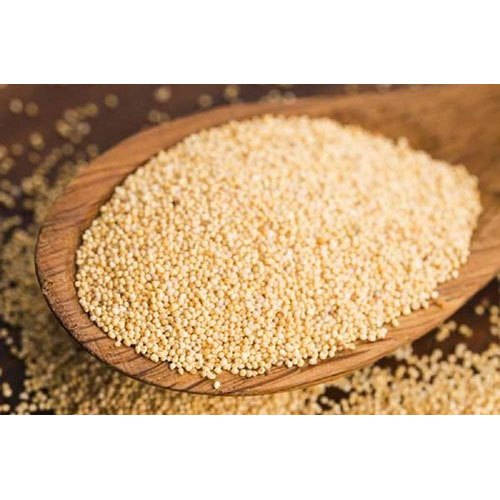 BULK WHITE POPPY SEEDS 55 LBS