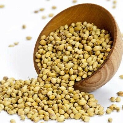 BULK CORIANDER SEEDS WHOLE 55LB