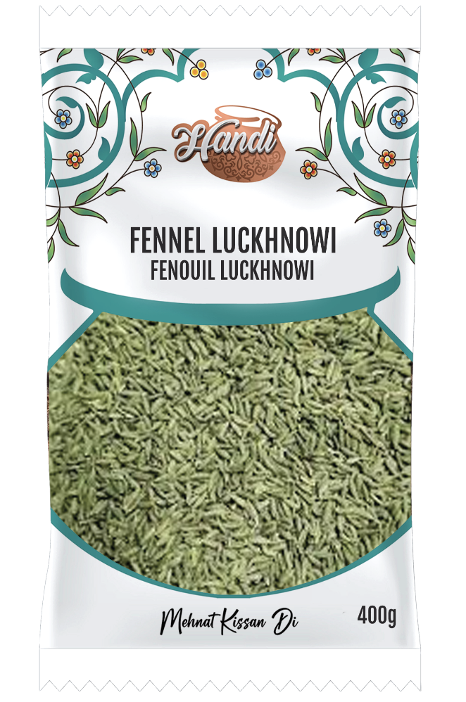 HANDI PS FENNEL SEED LUCKHNOWI 400GM